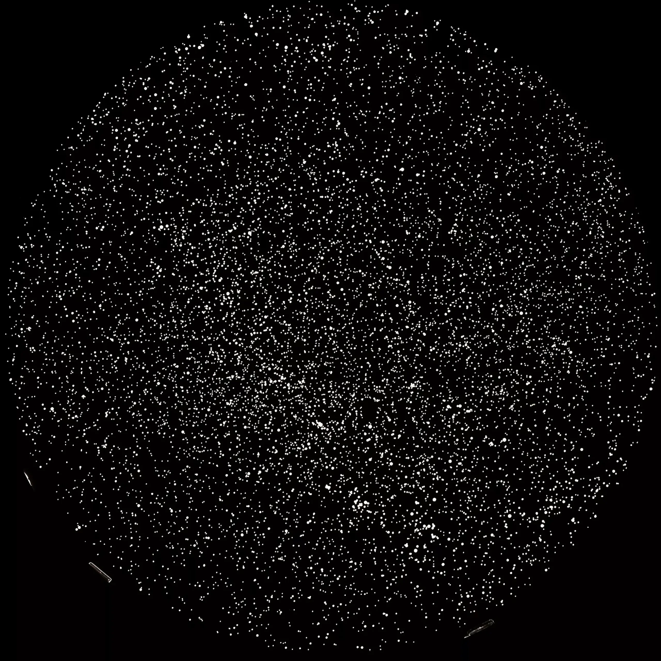 Kinder Bresser Kinderteleskop>JUNIOR Astro-Planetarium