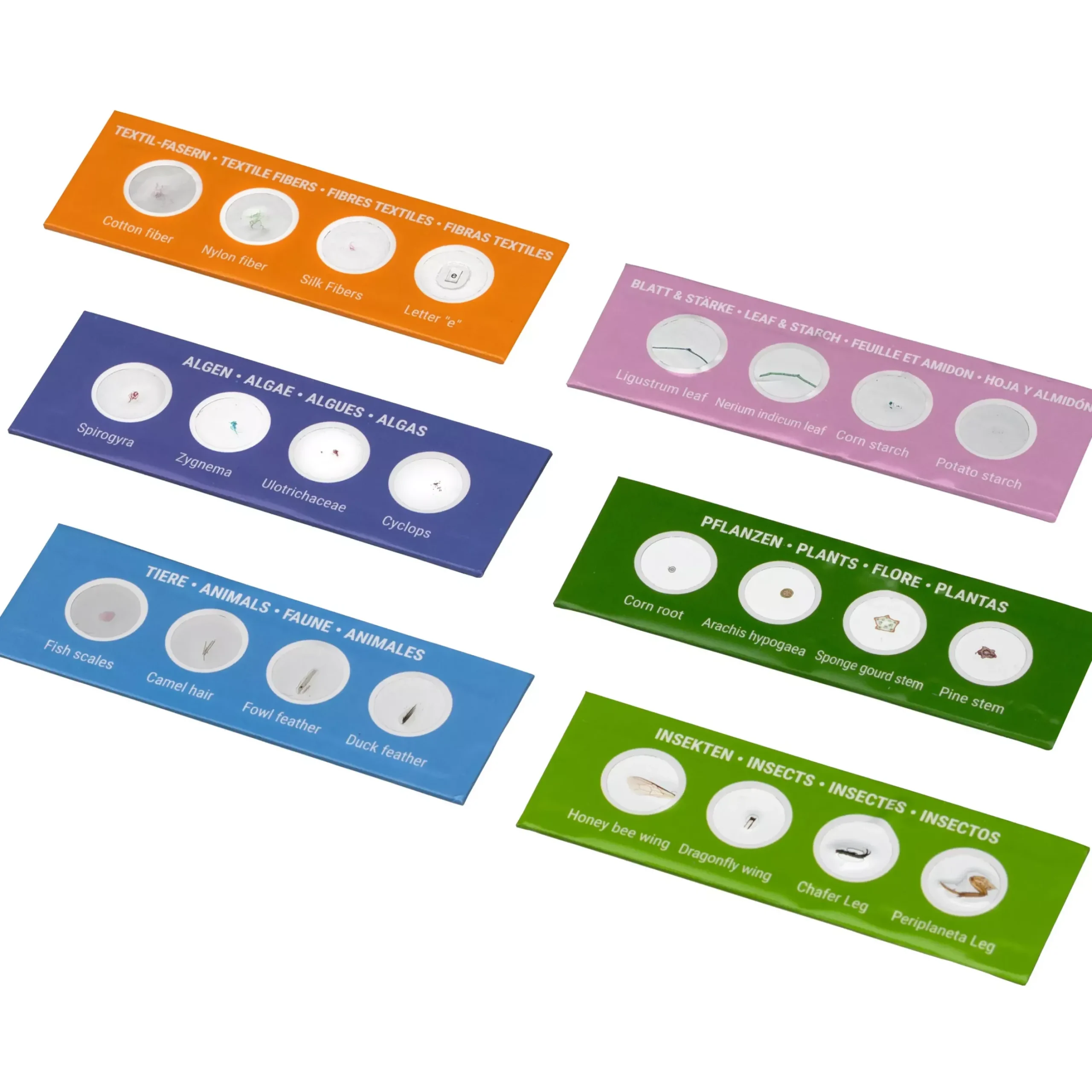 Kinder Bresser Kindermikroskop|Lernen & Entdecken>JUNIOR 24 Dauerpräparate Mikroskop-Starter-Set