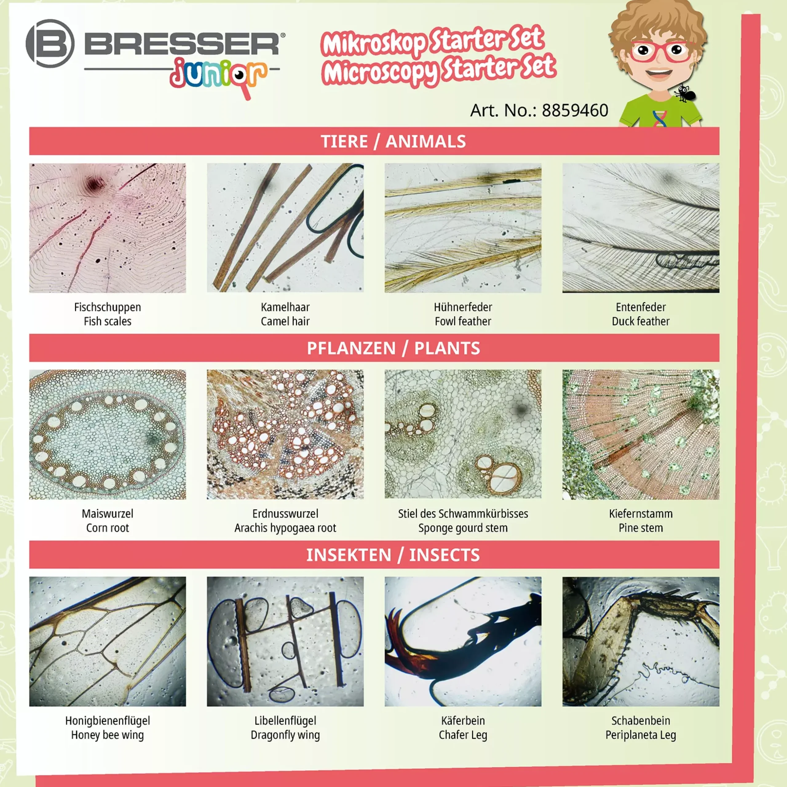 Kinder Bresser Kindermikroskop|Lernen & Entdecken>JUNIOR 24 Dauerpräparate Mikroskop-Starter-Set