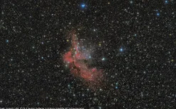 Bresser Teleskope Für Astrofotografie|Teleskope Mit Sonnenfilter>Messier NT-203s/800 EXOS-2/EQ5 Teleskop