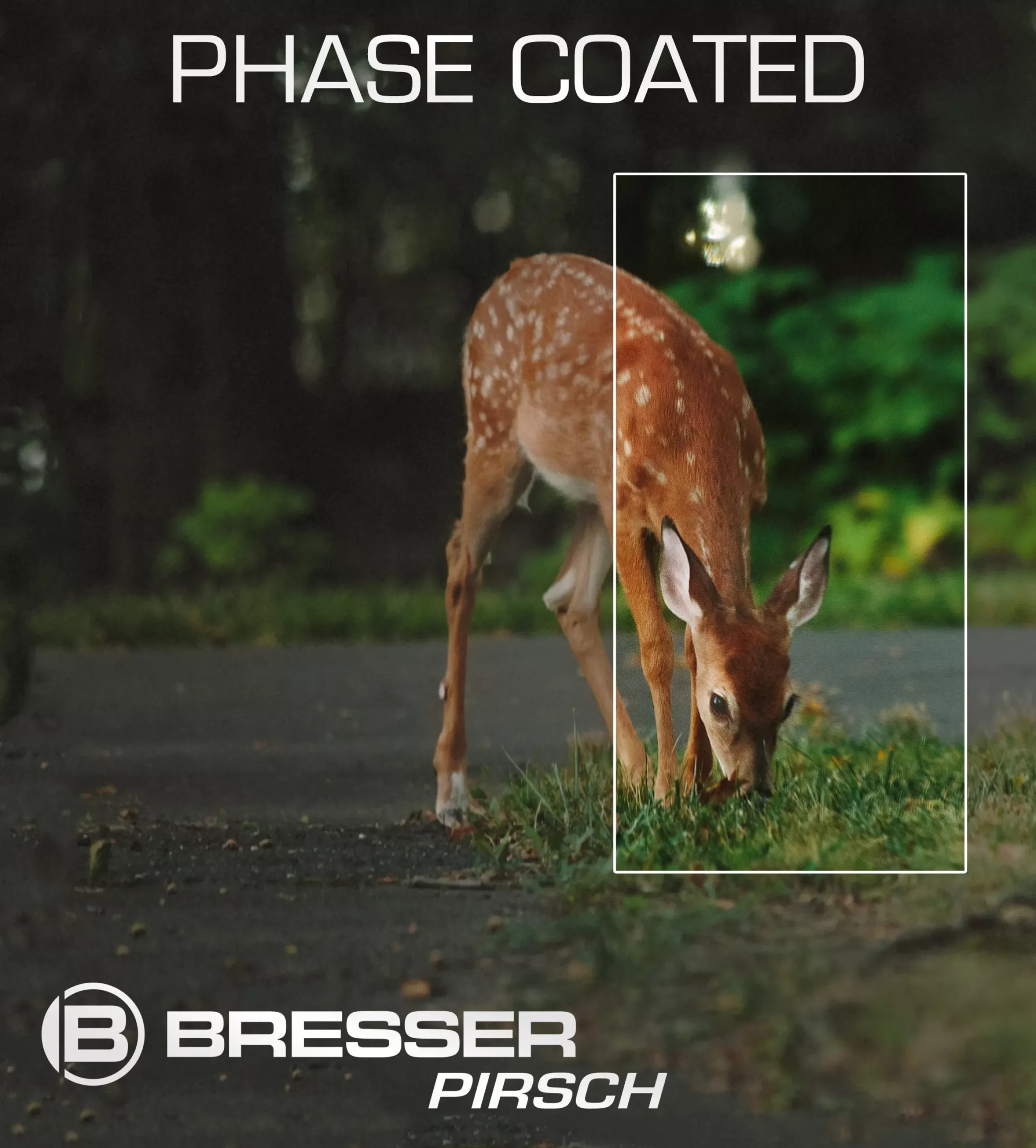 Bresser Taschenfernglas/ Kompaktfernglas|Fernglas Zur Vogelbeobachtung>Pirsch 10x26 Fernglas mit Phasenvergütung