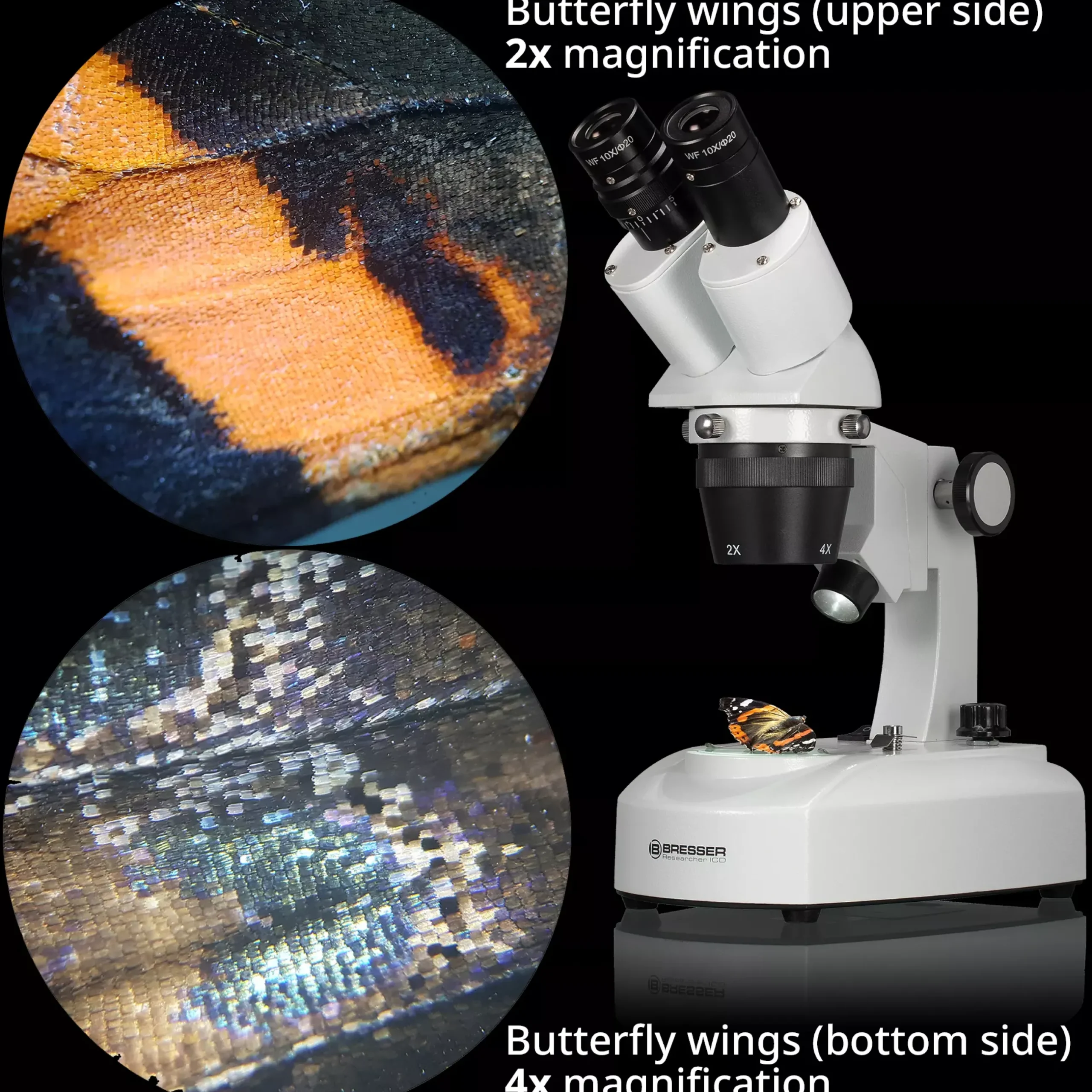 Bresser Durchlichtmikroskope|Auflichtmikroskope>Researcher ICD LED 20x-80x Stereomikroskop