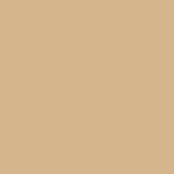 Bresser Papierhintergründe>SBP15 Papierhintergrundrolle 2,72 x 11m Beige