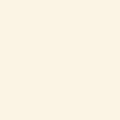 Bresser Papierhintergründe>SBP28 Papierhintergrundrolle 2,00 x 11m Austernbeige