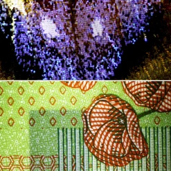 Bresser Durchlichtmikroskope|Auflichtmikroskope><noscript><img width=