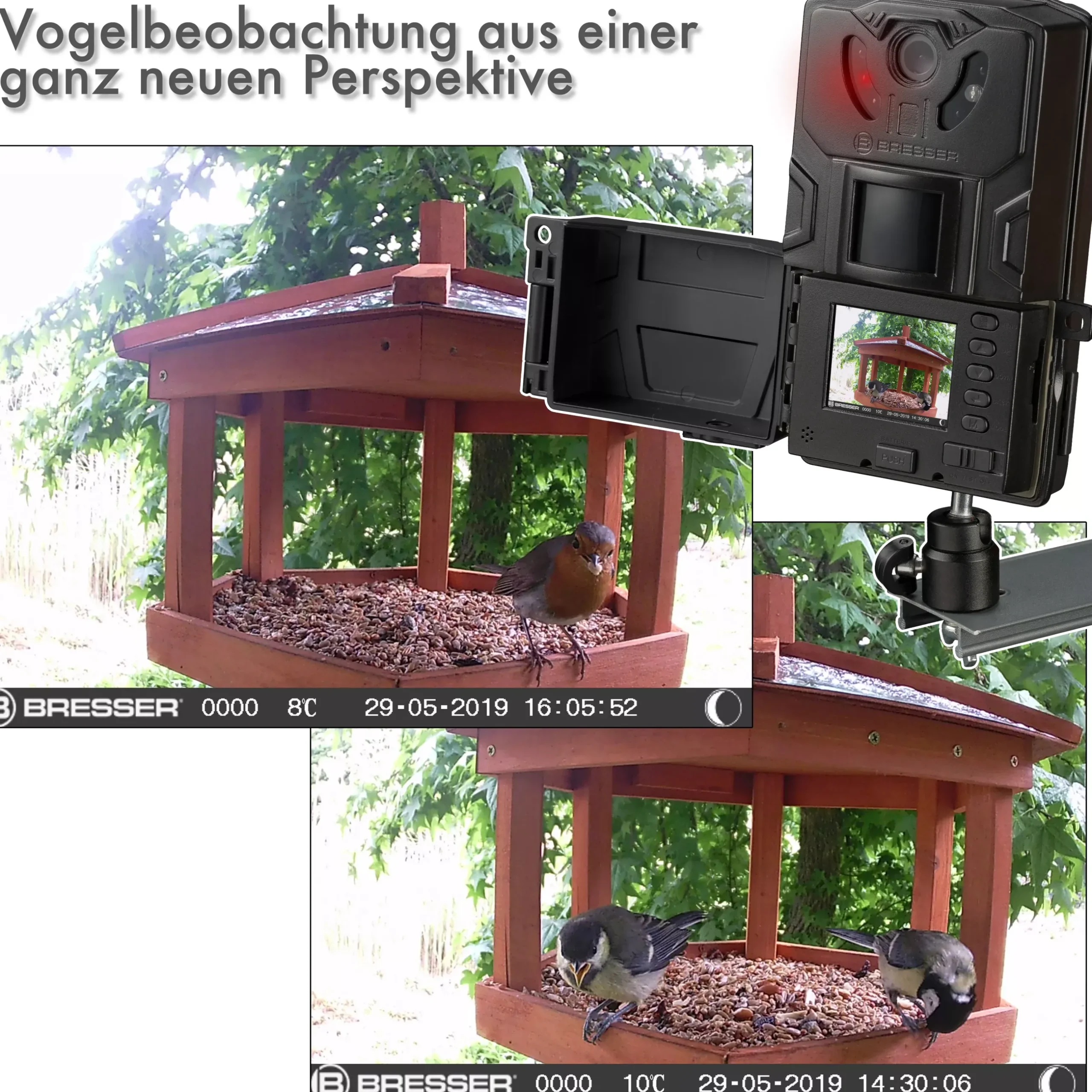 Bresser Wildkameras>Vogel-/Kleintier-Kamera SFC-1