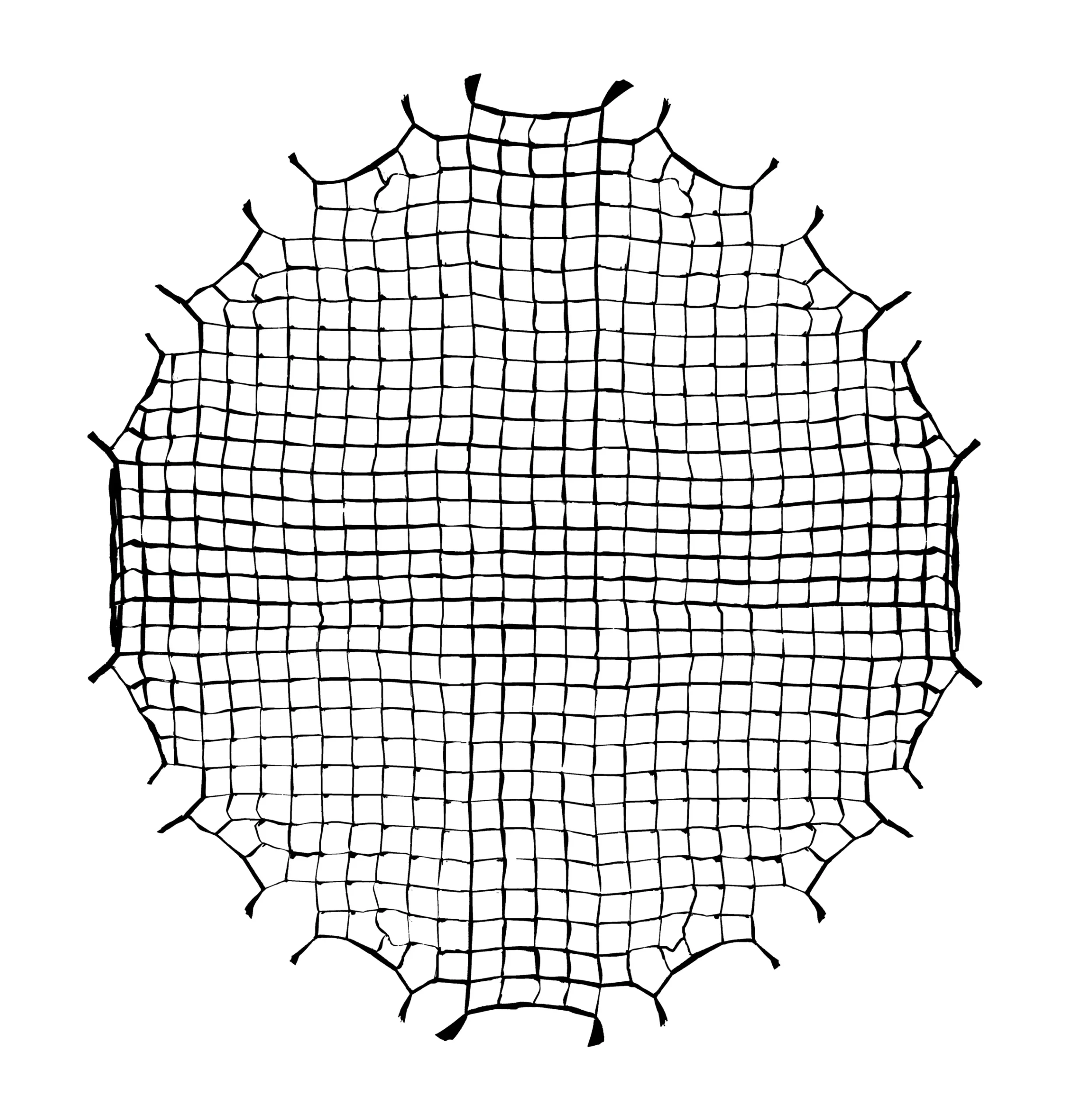 Bresser Wabengitter>Wabe für Super Quick Octabox 65 cm