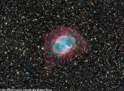 Bresser Teleskope Für Astrofotografie|Teleskope Für Deep-Sky><noscript><img width=