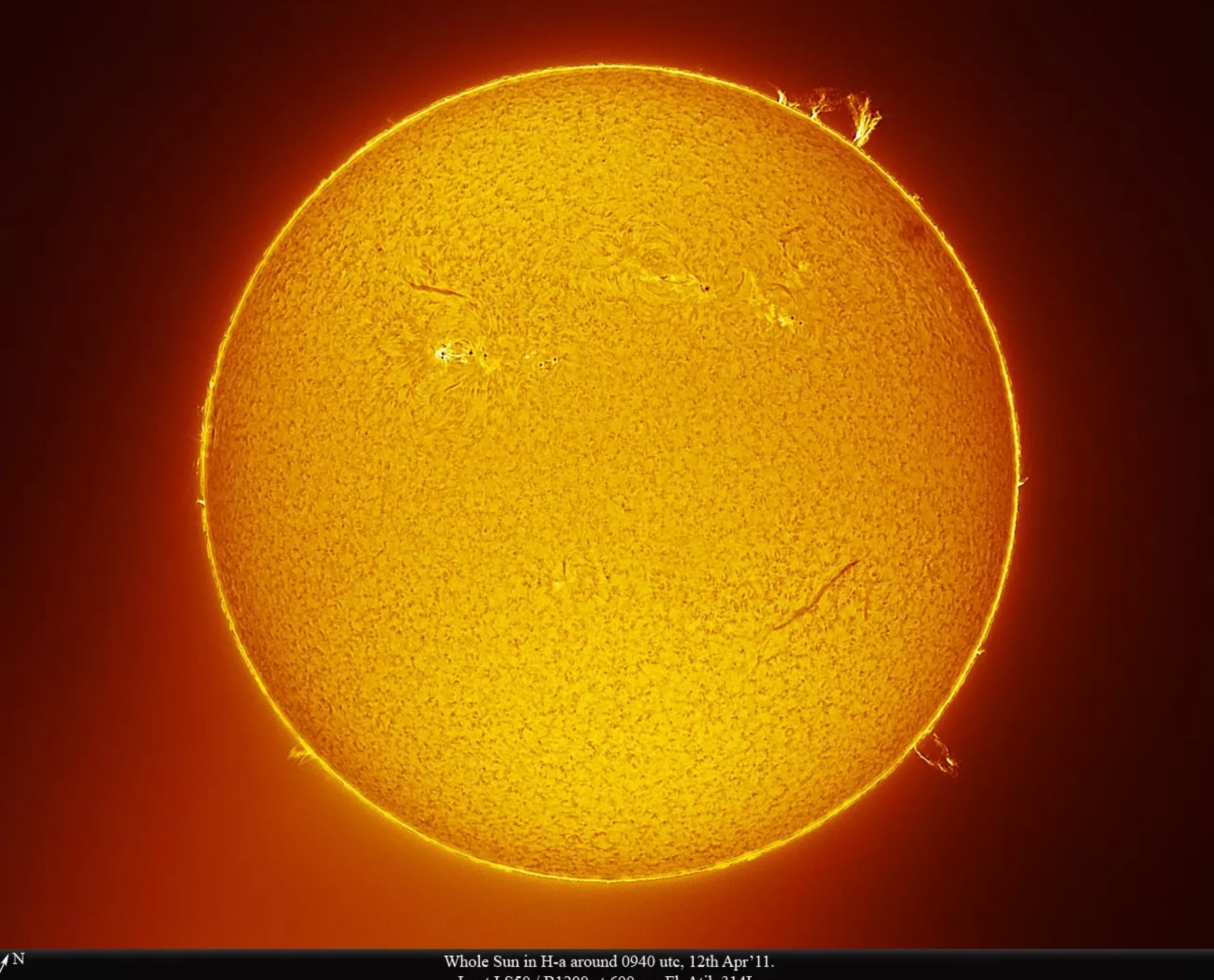 Bresser H-Alpha-Filter>LUNT LS50FHa/B1800d2 H-Alpha Sonnenfilter