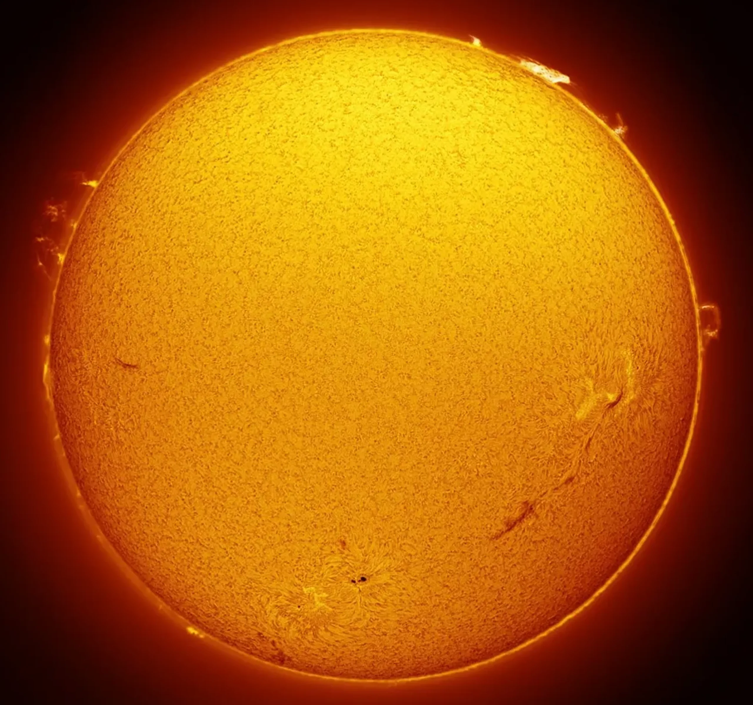 Bresser H-Alpha-Filter>LUNT LS50FHa/B1800d1 H-Alpha Sonnenfilter