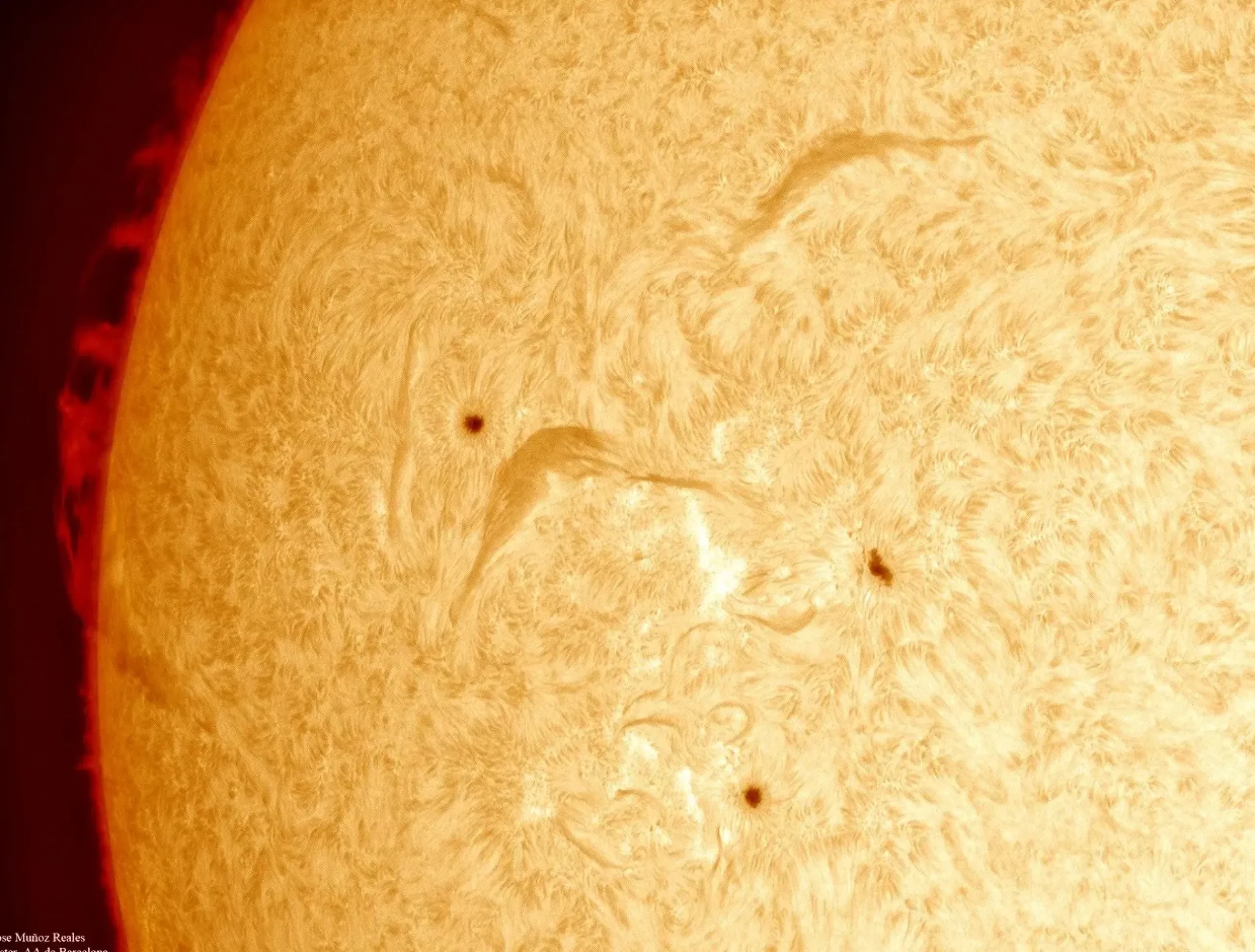 Bresser H-Alpha-Filter>LUNT LS100FHa/B3400 H-Alpha Sonnenfilter