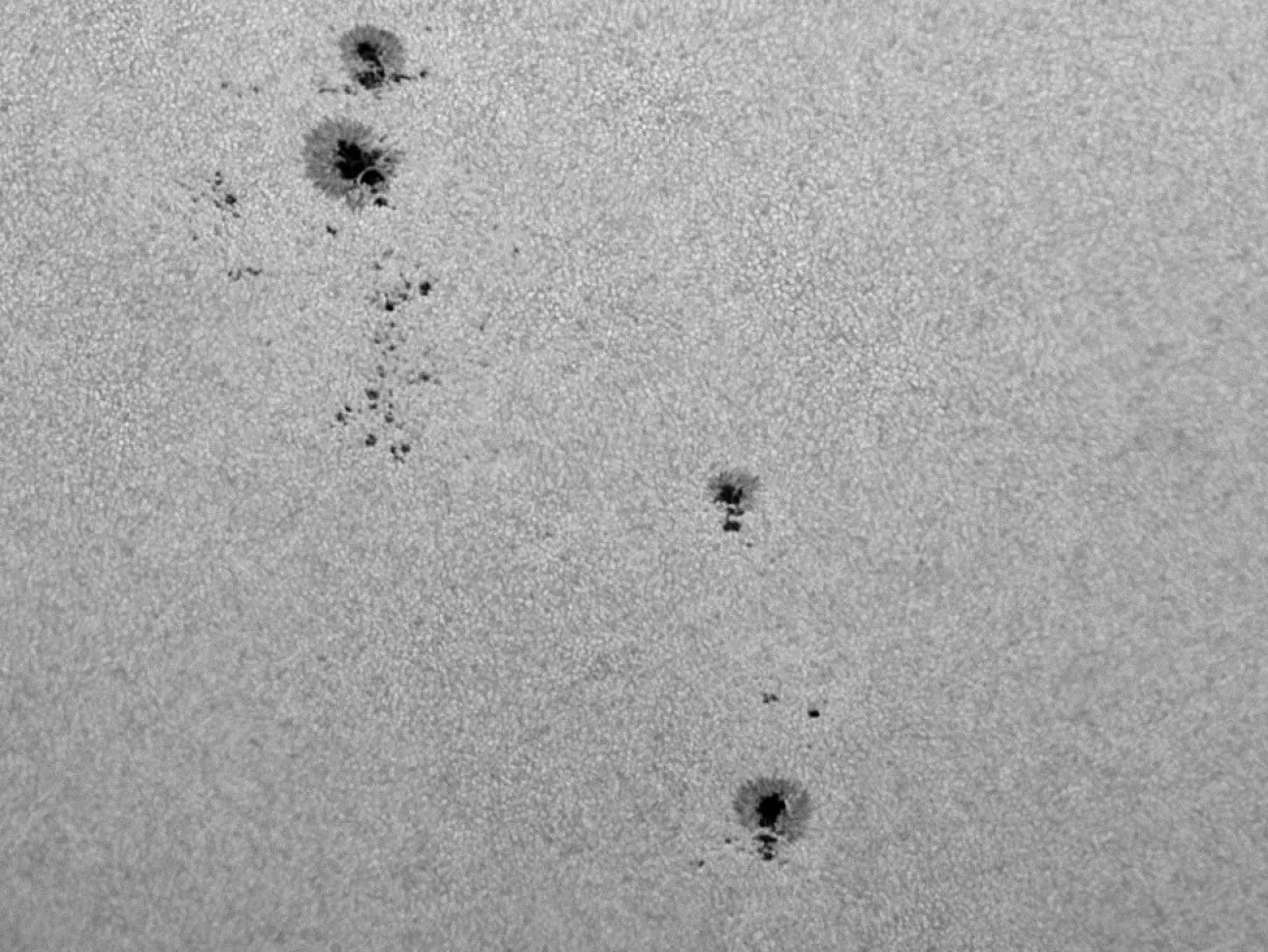Bresser Weißlicht-Filter|Weißlichtfilter Für Sonnenbeobachtung>LUNT LS1.25HW 31,7mm (1,25'') Herschel-Keil