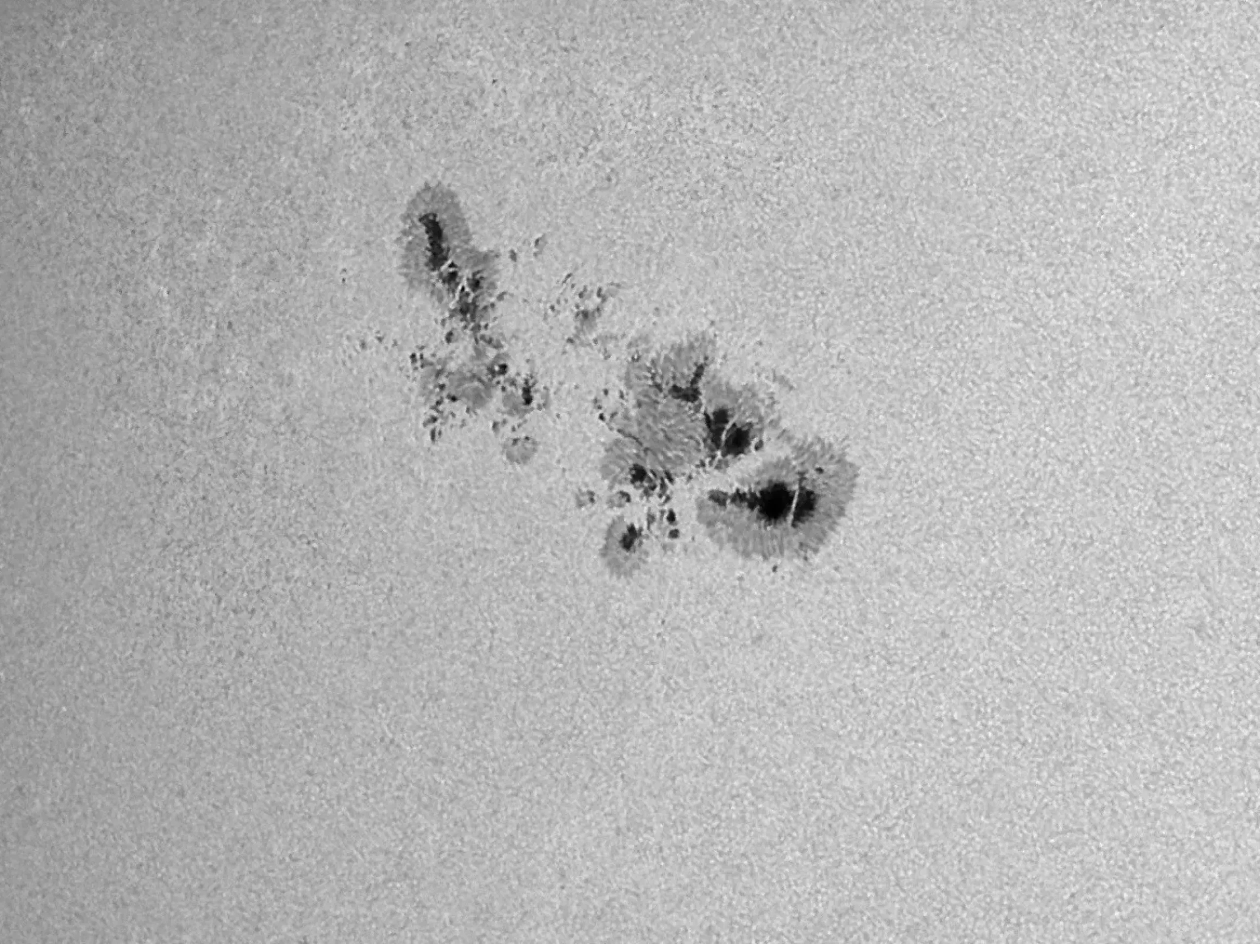 Bresser Weißlicht-Filter|Weißlichtfilter Für Sonnenbeobachtung>LUNT LS1.25HW 31,7mm (1,25'') Herschel-Keil