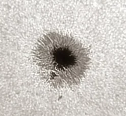 Bresser Weißlicht-Filter|Weißlichtfilter Für Sonnenbeobachtung><noscript><img width=