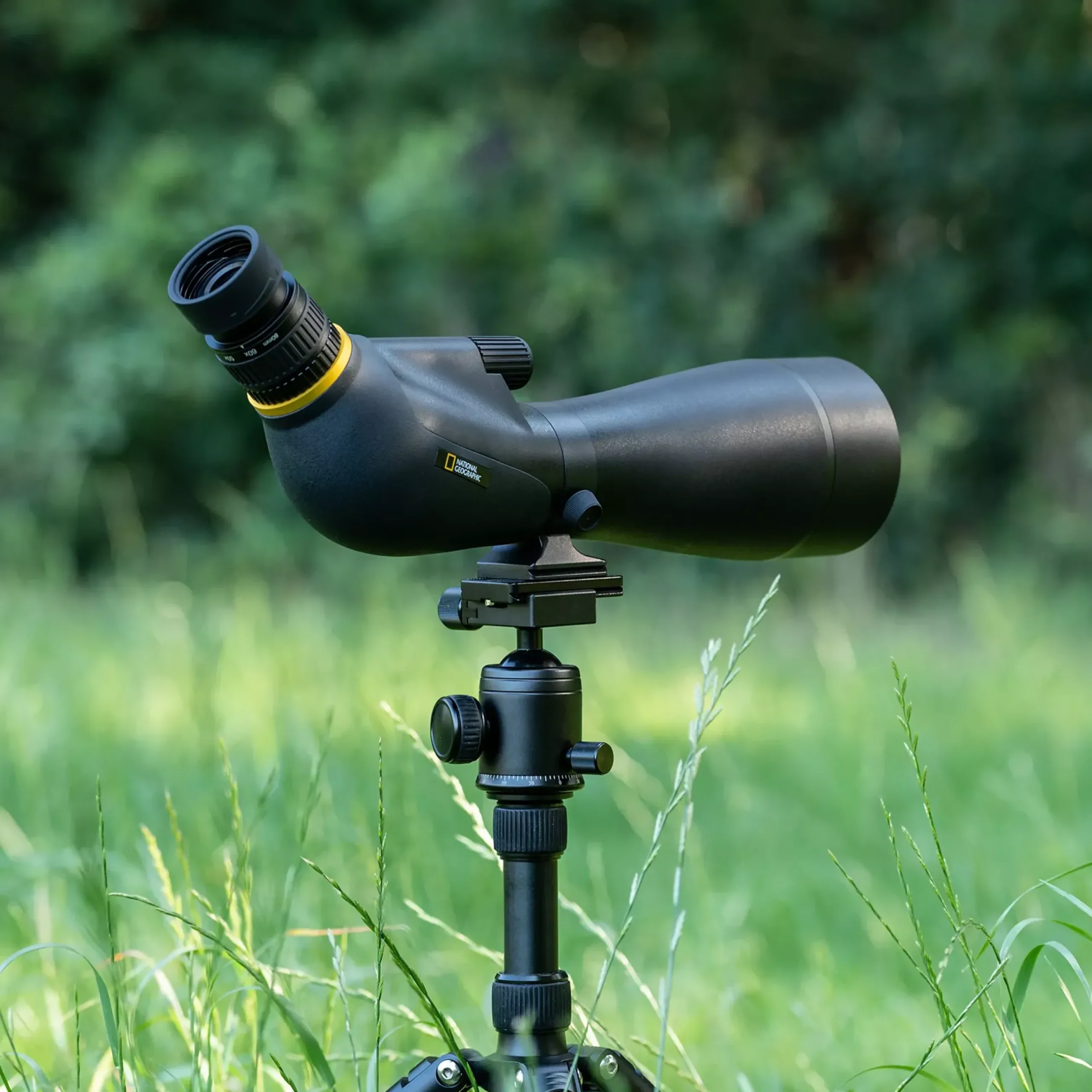 Bresser Vogel- & Naturbeobachtung>NATIONAL GEOGRAPHIC Adventurer 20–60x80 Spektiv