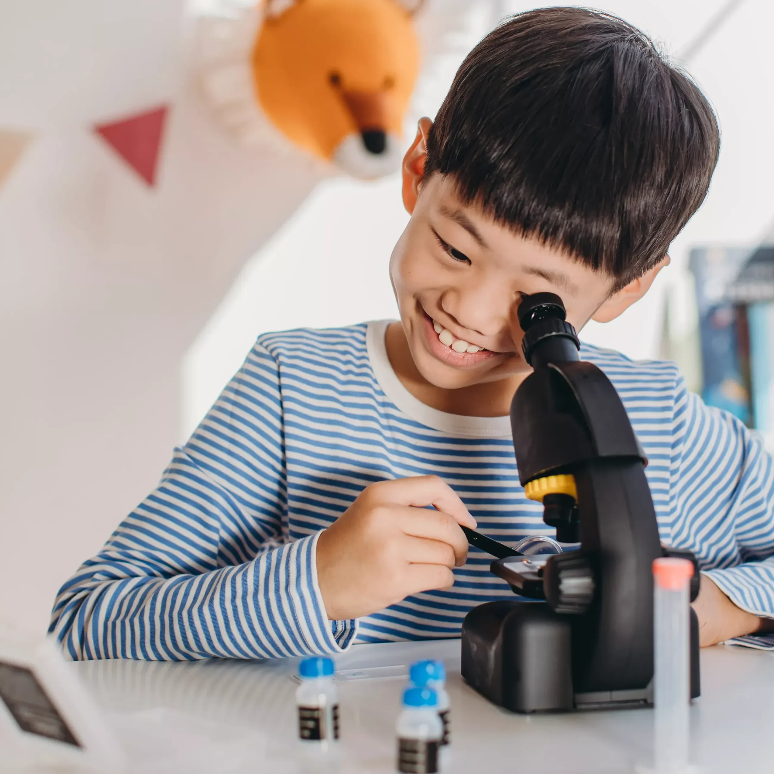 Kinder Bresser Kindermikroskop|Kinderteleskop>NATIONAL GEOGRAPHIC Teleskop + Mikroskop Set für Einsteiger
