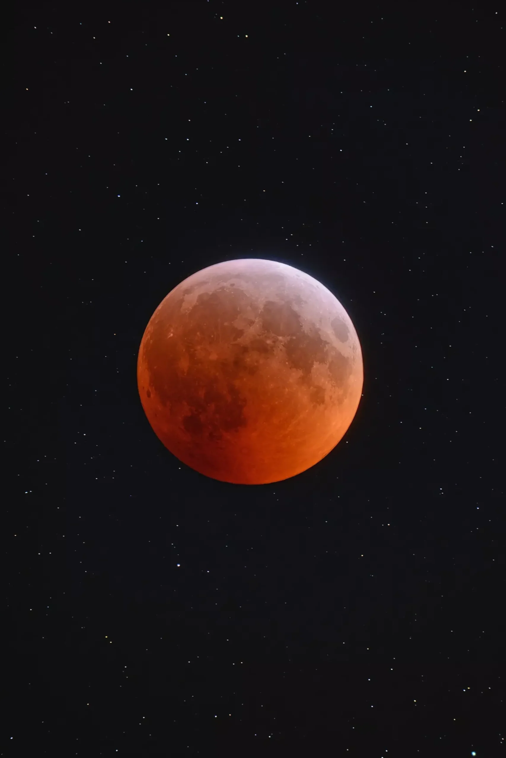 Bresser Teleskope Für Deep-Sky|Teleskope Für Planeten>Vixen AP-SD81S II Teleskop-Set